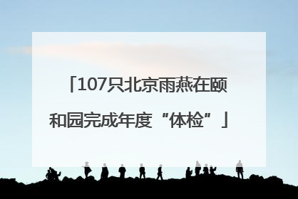107只北京雨燕在颐和园完成年度“体检”