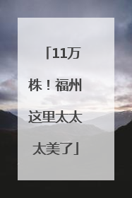 11万株！福州这里太太太美了