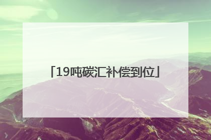19吨碳汇补偿到位