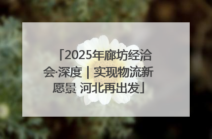 2025年廊坊经洽会·深度｜实现物流新愿景 河北再出发