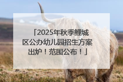 2025年秋季鲤城区公办幼儿园招生方案出炉！范围公布！