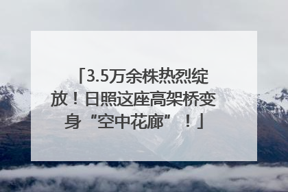 3.5万余株热烈绽放！日照这座高架桥变身“空中花廊”！