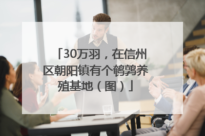 30万羽，在信州区朝阳镇有个鹌鹑养殖基地（图）