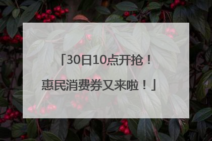 30日10点开抢！惠民消费券又来啦！