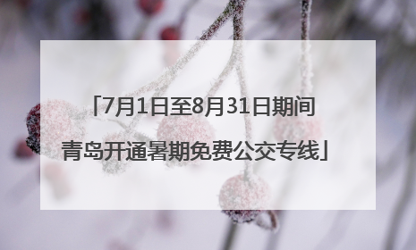 7月1日至8月31日期间 青岛开通暑期免费公交专线