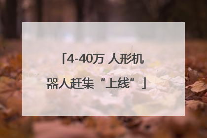 4-40万 人形机器人赶集“上线”