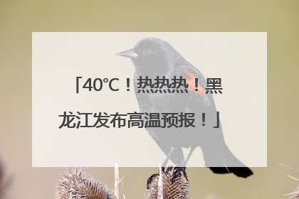 40℃！热热热！黑龙江发布高温预报！
