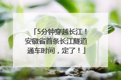 5分钟穿越长江！安徽省首条长江隧道通车时间，定了！