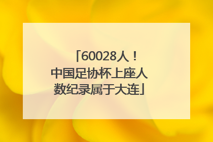 60028人！中国足协杯上座人数纪录属于大连