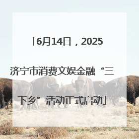 6月14日，2025济宁市消费文娱金融“三下乡”活动正式启动