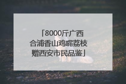8000斤广西合浦香山鸡嘴荔枝赠西安市民品鉴