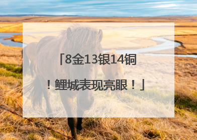 8金13银14铜！鲤城表现亮眼！