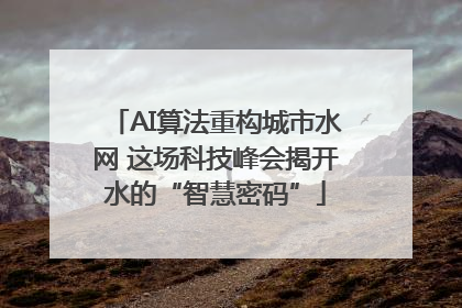 AI算法重构城市水网 这场科技峰会揭开水的“智慧密码”
