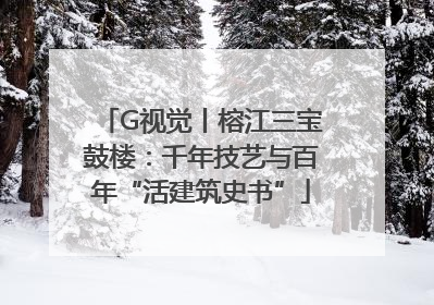 G视觉丨榕江三宝鼓楼：千年技艺与百年“活建筑史书”